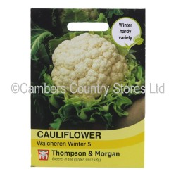 Thompson & Morgan Cauliflower Walcheren Winter